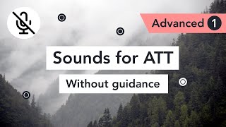 Attention Training Technique without guidance A1 [upl. by Anevad]