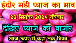 प्याज भाव में भयंकर तेजी इंदौर मंडी 22 सितंबर 2024 Indore Mandi pyaj ka bhav Onion price today [upl. by Nahoj546]