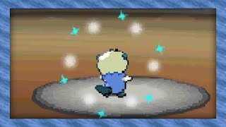 Live Shiny Oshawott After 24636 Soft Resets Pokémon Black [upl. by Anilam]