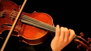 Johannes Brahms Sonata in E flat major for Viola and Piano Op 120 2 Mvt 1 [upl. by Quiteris255]