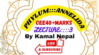 Phylum Annelidalecture 3Earthworm all zoology lectures with best notes [upl. by Ellecram]