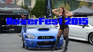 Boxerfest 2015  EpicJonTuazon [upl. by Egap]