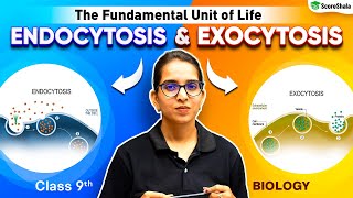 Endocytosis and Exocytosis  Class 9 Biology Chapter 1  The Fundamental Unit of Life [upl. by Radnaxela]