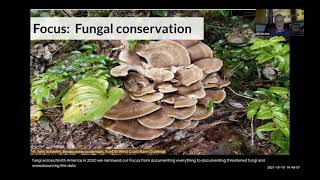 Crowdsourcing Fungal Biodiversity  Oct 2021 [upl. by Kaasi]