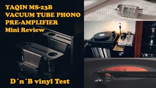 Yaqin MS23B Vacuum Tube Phono Preamp Mini Review [upl. by Farhi]