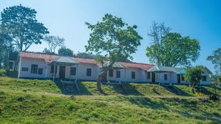 Stay at Anamalai Tiger Reserve  Topslip  Bison House [upl. by Phillips]