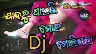 Padaru Paunji Mora DJ  odia alphaentertainment [upl. by Allicirp]