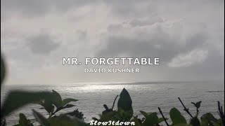 David Kushner  Mr Forgettable Lyrics [upl. by Nickolas]