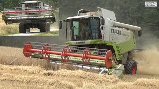 MONTANA on MOUNTAIN Claas Lexion 570 Sonderlackierung  Getreide dreschen  Landwirtschaft Preis [upl. by Raphaela]