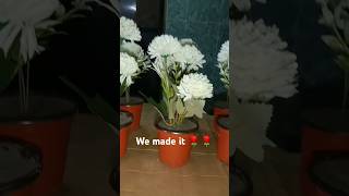 Plastic carnations for coming this undasshortvideo flowers carnation undas [upl. by Mirella738]