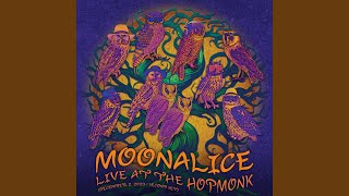 Attics of My Life Live at The Hopmonk [upl. by Eleira812]