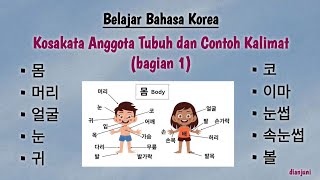 Belajar Bahasa Korea Kosakata Anggota Tubuh dan Contoh Kalimatnya Bagian 1 bahasakorea korea [upl. by Erreipnaej]