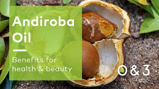 Andiroba Oil  benefits for skin hair and personal care formulations [upl. by Adyeren]