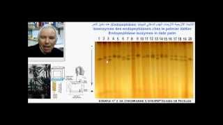 Endopeptidases et étude de la diversité génétique du palmier dattier  تنوع النخيل [upl. by Sowell]