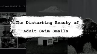 The Disturbing Beauty of Adult Swim Smalls Footage of a Bear Opal and House [upl. by Ahsyak34]