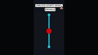 UNCLOG STUFFY NOSE amp DRAIN SINUSES IN 20 SECONDS [upl. by Etsirk]