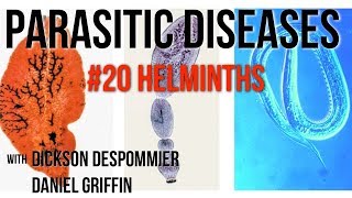 Parasitic Diseases Lectures 20 Helminths [upl. by Netneuq]