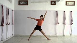 30 minutes practice of Iyengar Yoga for beginners to intermediates [upl. by Ailem621]