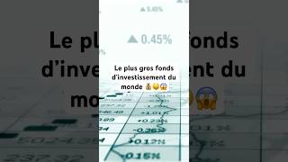 economie finance investissement fonds fondsdinvestissement norvege argent business [upl. by Ellenig]