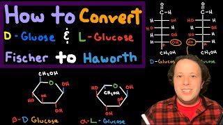 How to Draw Haworth Projections of L and D Glucose from Fischer Projections  Chemistry Tutorial [upl. by Enael]