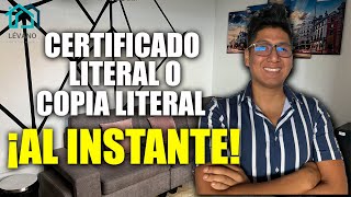 Cómo tramitar tu certificado o copia literal al instante via web de la SUNARP 2024 [upl. by Yasnyl]