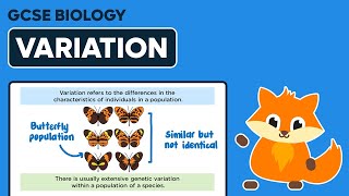 Variation  GCSE Biology [upl. by Noramac]