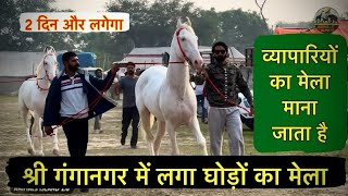 Sri ganganagar horse mela 2023  व्यापारियों का मेला माना जाता है [upl. by Pyle]