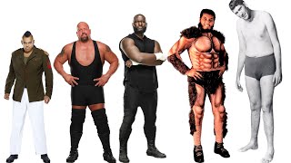 Top 20 Tallest Wrestlers of All Time Real Heights [upl. by Esinaj80]