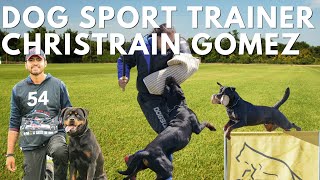 How to Train Your Rottweiler for Sports [upl. by Habeh]