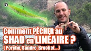 Comment pêcher au SHAD en LINEAIRE  perche sandre brochet [upl. by Anayra661]