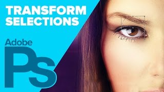 How to Transform Your Selections in Photoshop [upl. by Eidorb]