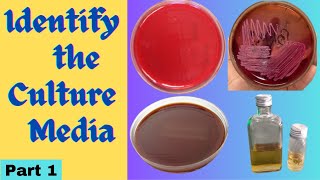 Culture Media  Classification uses and sterilization technique practical exam microbiology part 1 [upl. by Gibbie]