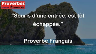 Proverbe Français  Souris dune entrée est tôt échappée [upl. by Lucier]