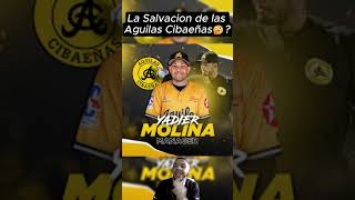 Yadier Molina Quiere Ganar un Campeonato con las Aguilas Cibaeñas🔥mlb lidom mlb aguilascibaenas [upl. by Adnic]