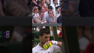 Brad Pitt Reacts to Alcaraz Stunner at Wimbledon [upl. by Lovel]