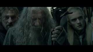 A Balrog LOTR 118 HD 1080p [upl. by Nnylhtak270]