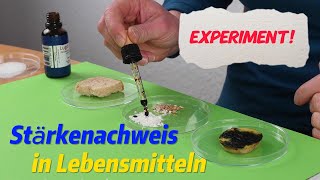 Forsche mit uns Experiment Stärkenachweis in Lebensmitteln [upl. by Hughett]