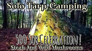 Solo Tarp Camping 500 Sub Celebration  Gourmet Camp Cooking [upl. by Inoj709]