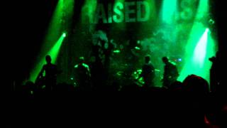 Raised Fist live Grünspan Hamburg 14052011 Full HD [upl. by Edmund]