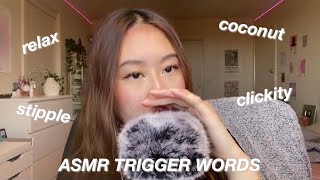 ASMR TRIGGER WORDS [upl. by Harac]