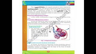 Gaseous Exchange In Animals 10th Class Biology Chapter 1 Lecture 5 In Sindhi [upl. by Eiramaneet]