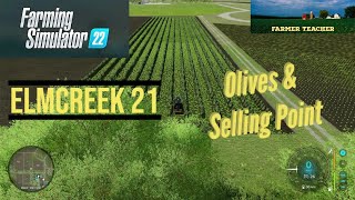 FS22 Elmcreek Part 21 Olives and amp Selling Point [upl. by Mount]