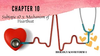 Chapter 10 Form 4 Biology Subtopic 103 The Mechanism of Heartbeat [upl. by Annahael]