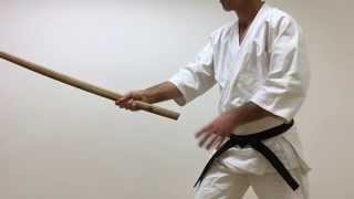 Bokken Basics [upl. by Arriek]