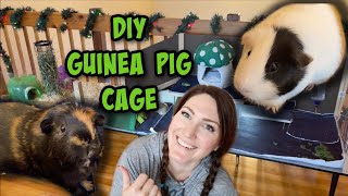 I built a DIY Guinea Pig Enclosure [upl. by Nuawed]