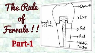 Ferrule Effect Understanding the Concept [upl. by Neeuq]