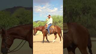 Give them the reins early reining reiningmasterclass powerclinic [upl. by Fasa]