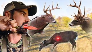 Bowhunting Cold Front Magic  7 Deer Down [upl. by Irej]