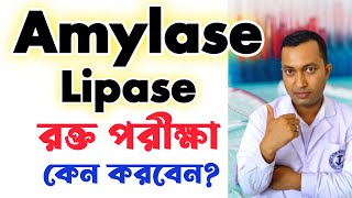 Amylase Lipase Blood test  Amylase Lipase পরীক্ষা কেন করবেন  Amylase Lipase normal range [upl. by Eicul]