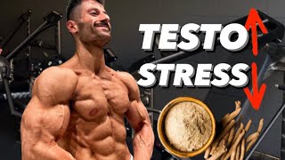 Ashwagandha  Optimale Dosis Muskelaufbau Testosteron Diät Nebenwirkungen Anfänger Stress uvm [upl. by Natsud]